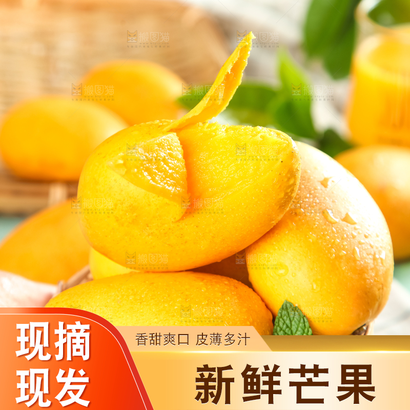 手里端着海南台农芒果