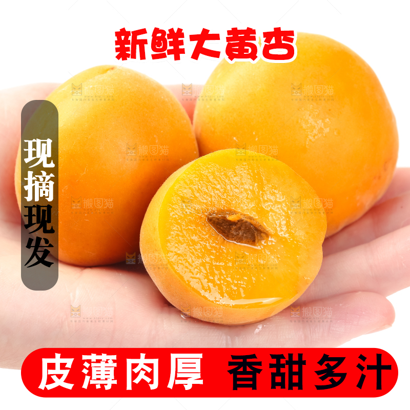 手里拿着大黄杏