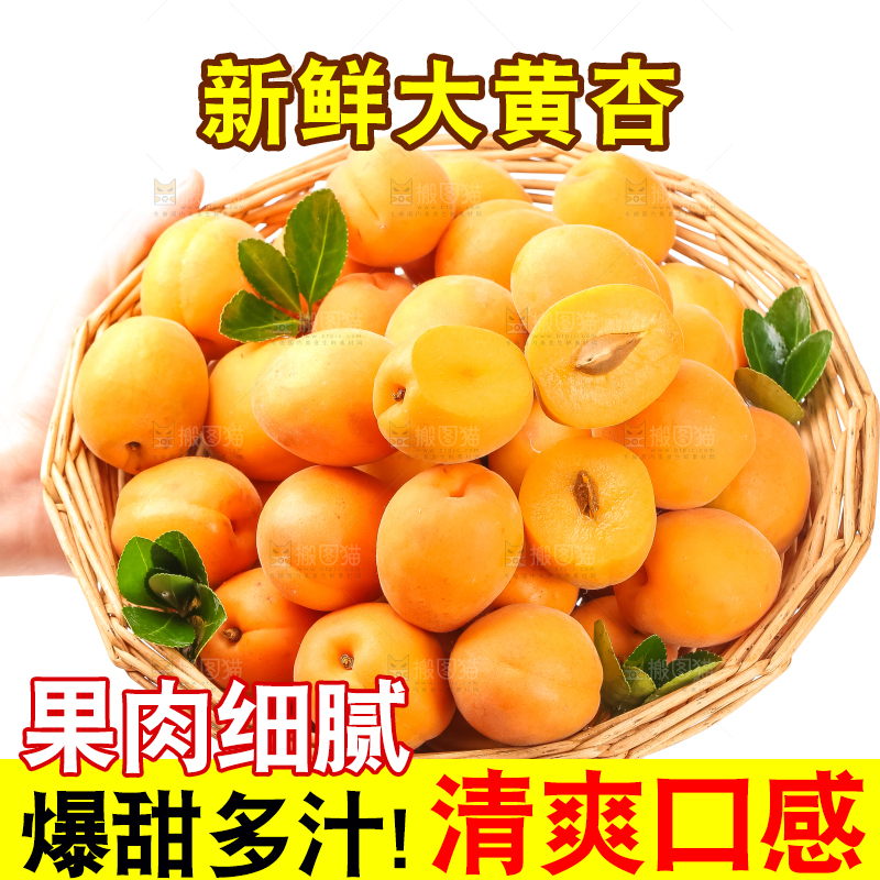篮子里装着杏子