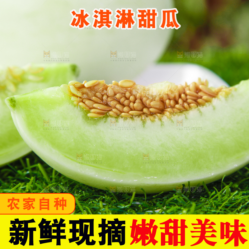 绿草地上摆放着玉菇甜瓜