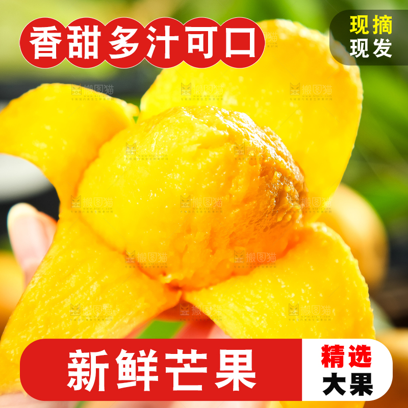 手里拿着小台芒