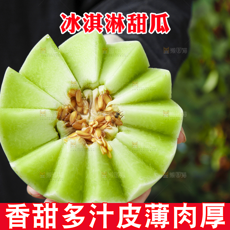 手里拿着玉菇香瓜