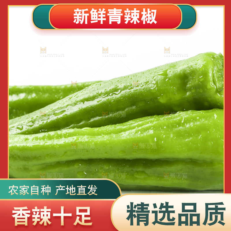白底上摆放着青辣椒