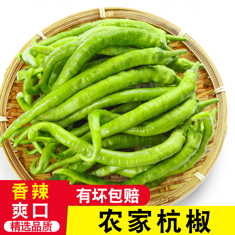 篮子里装着杭椒
