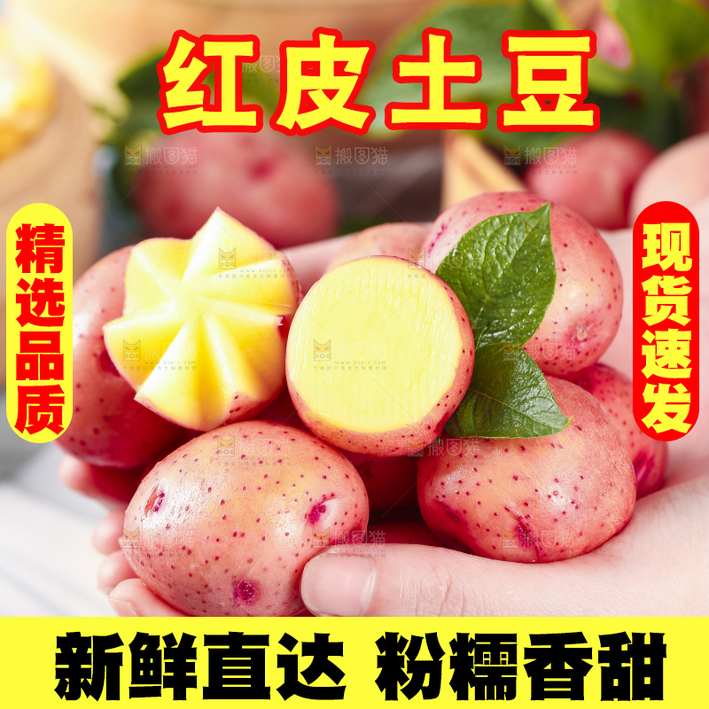 手里捧着红皮土豆