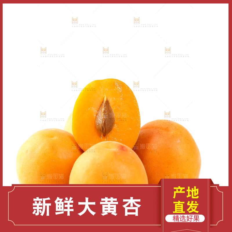 白底上放着陕西新鲜大黄杏