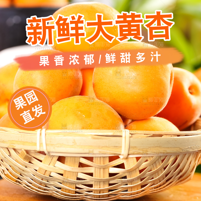篮子里装着杏子