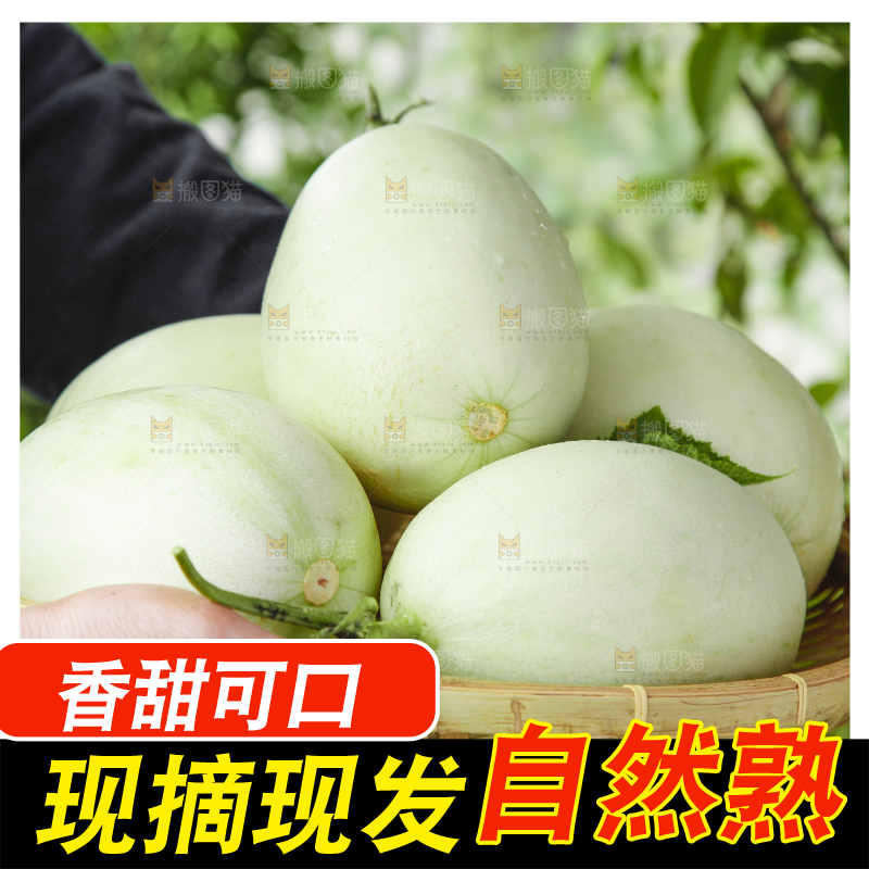 手里端着一篮玉菇甜瓜