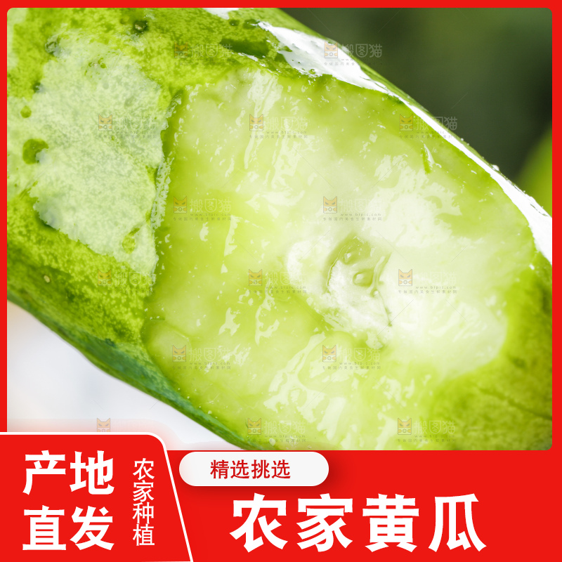 浅底上的嫩黄瓜