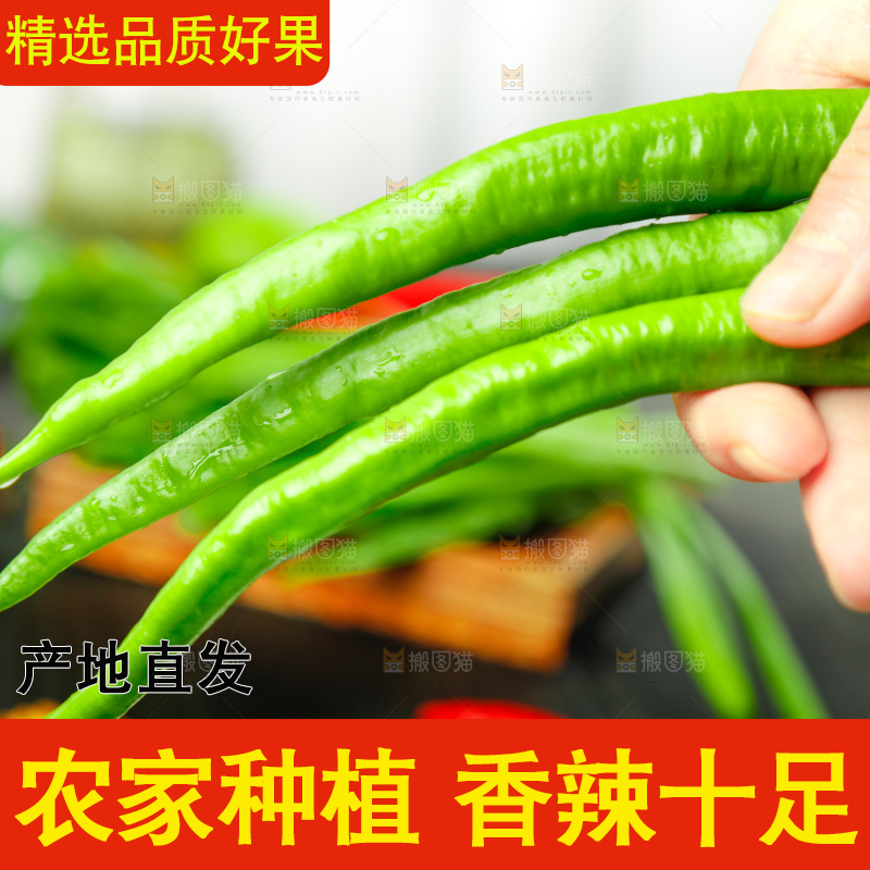 手里拿着辣椒