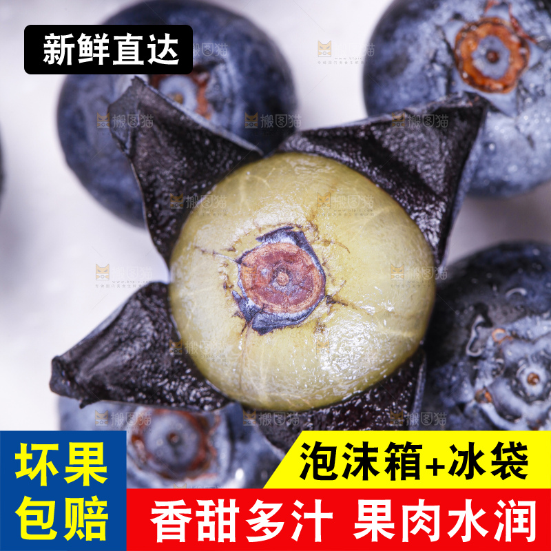 白底上摆放着进口蓝莓