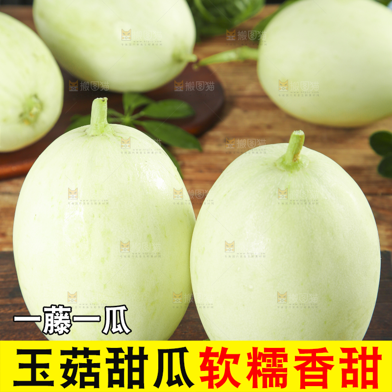 深底上摆放着山东玉菇甜瓜