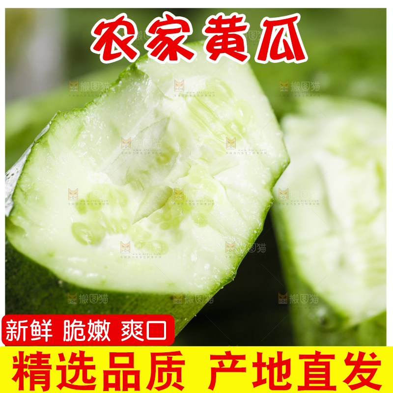 手里拿着嫩黄瓜