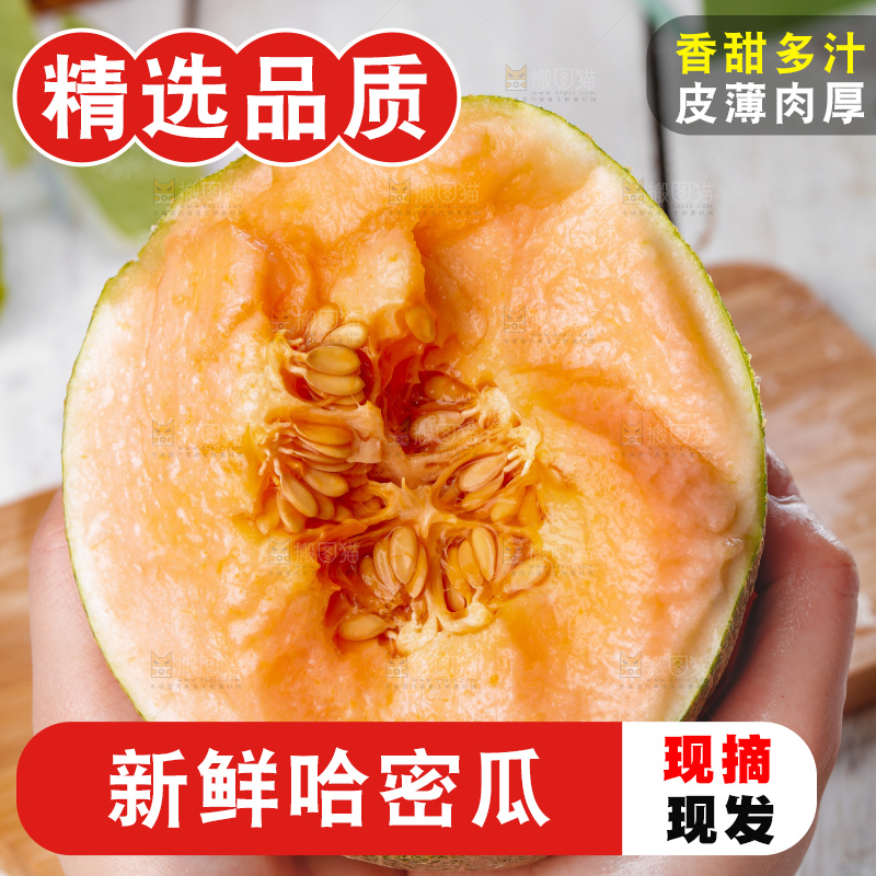 哈密瓜主图