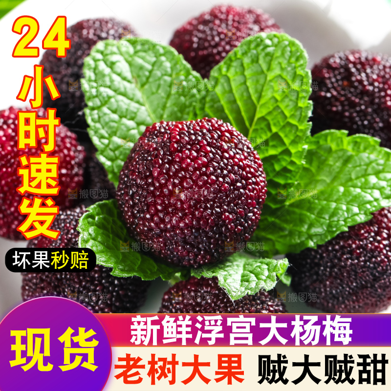 盘子里装着杨梅