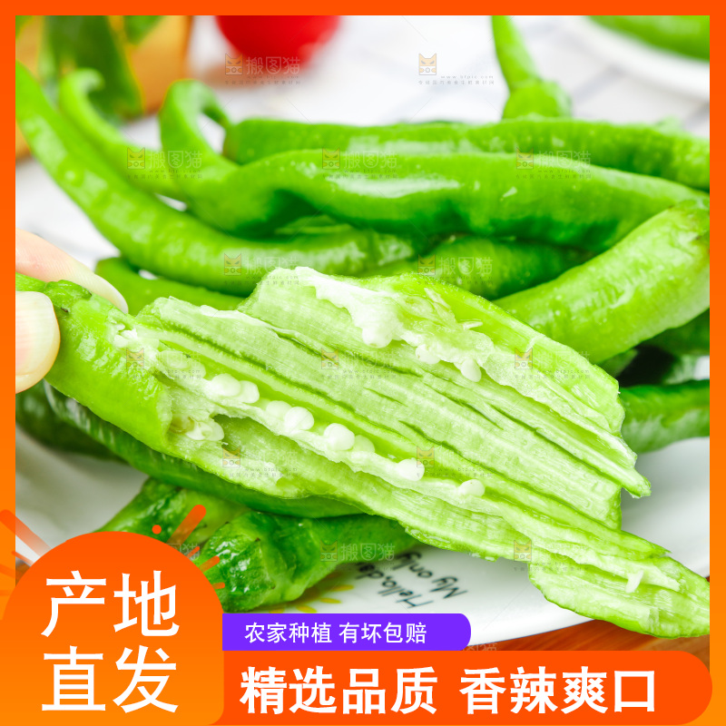 盘子里装着青辣椒