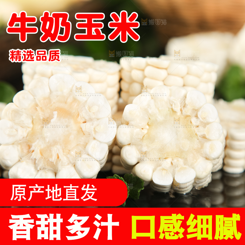 黑底上放着白玉米