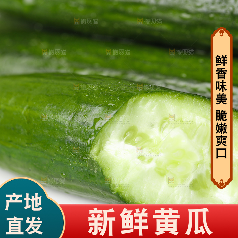 盘子里装着嫩黄瓜