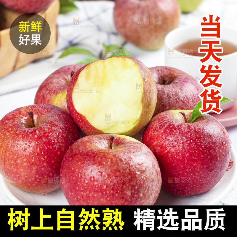 浅底上摆放着秦冠苹果