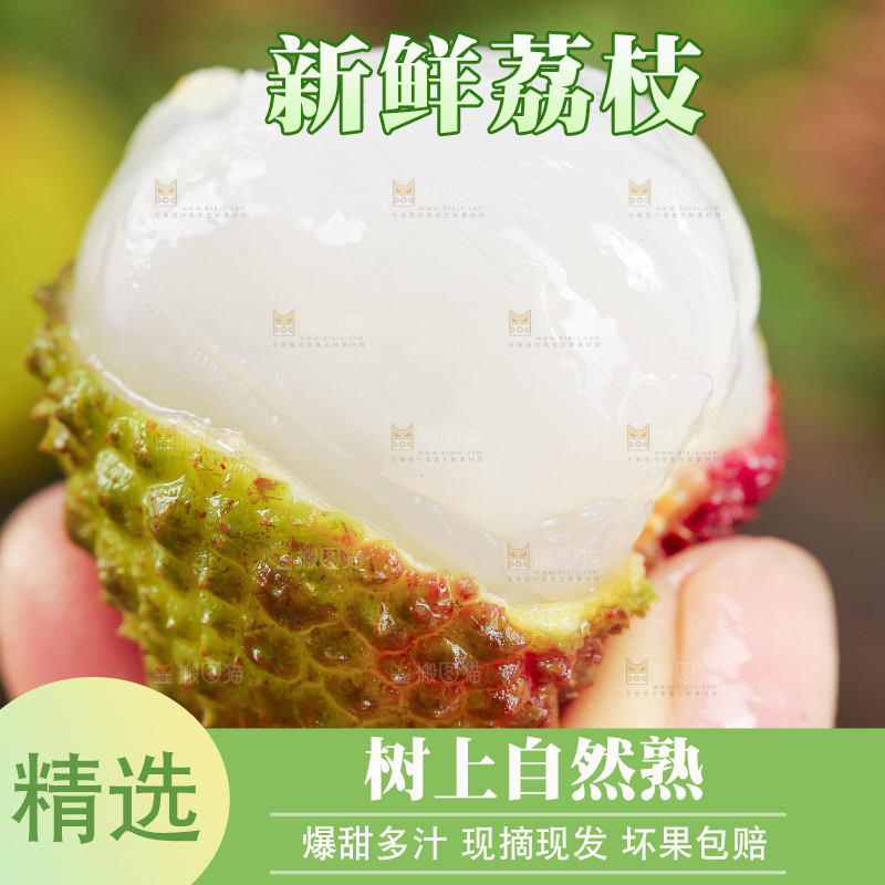 手里拿着妃子笑荔枝