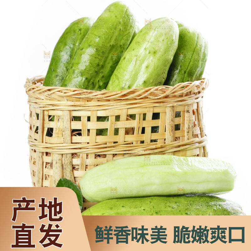 篮子里装着蔬菜黄瓜