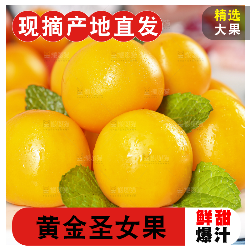 白底上摆放着黄金圣女果