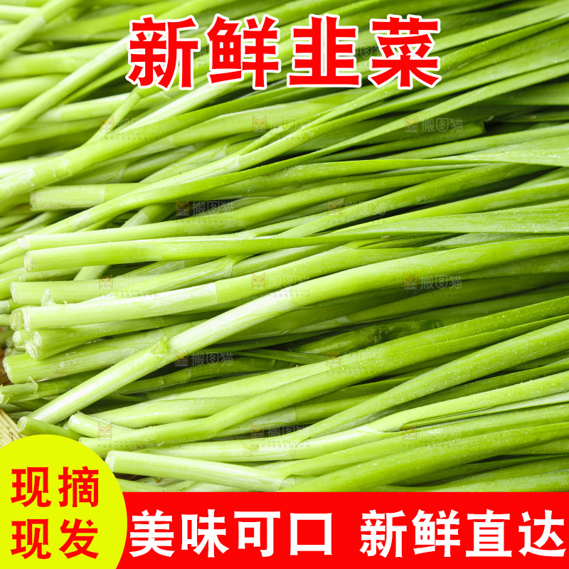 篮子里装着嫩韭菜