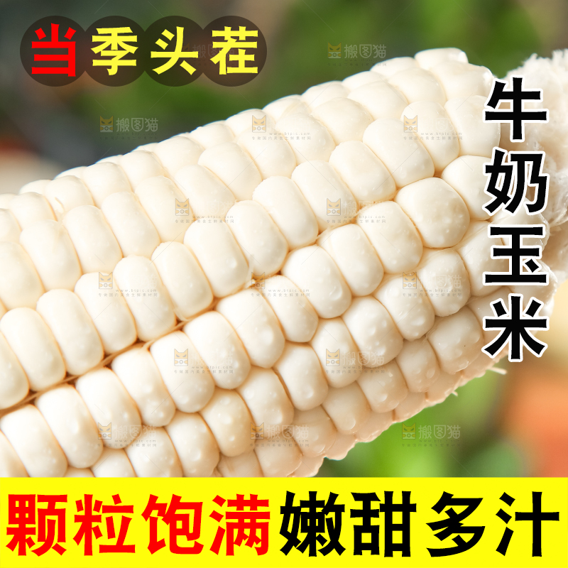 手里拿着白玉米
