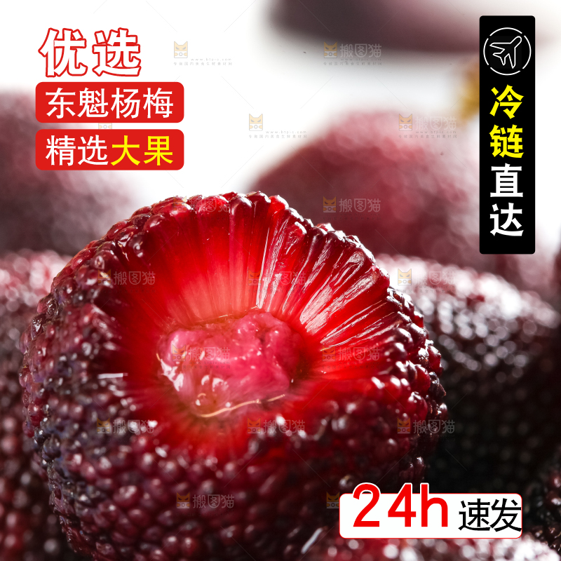 篮子里装着野生杨梅