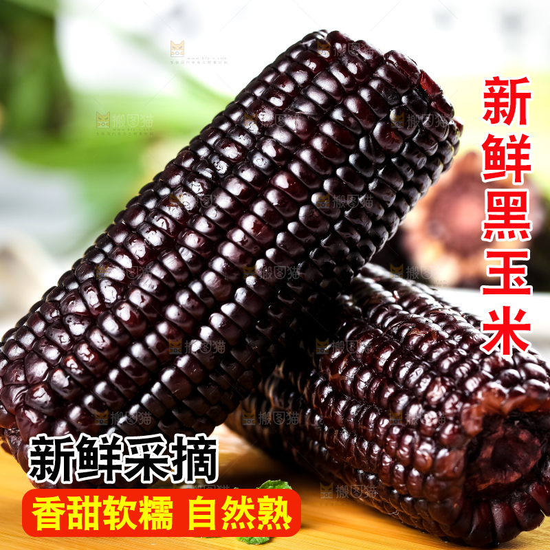 木底上摆放着东北黑玉米