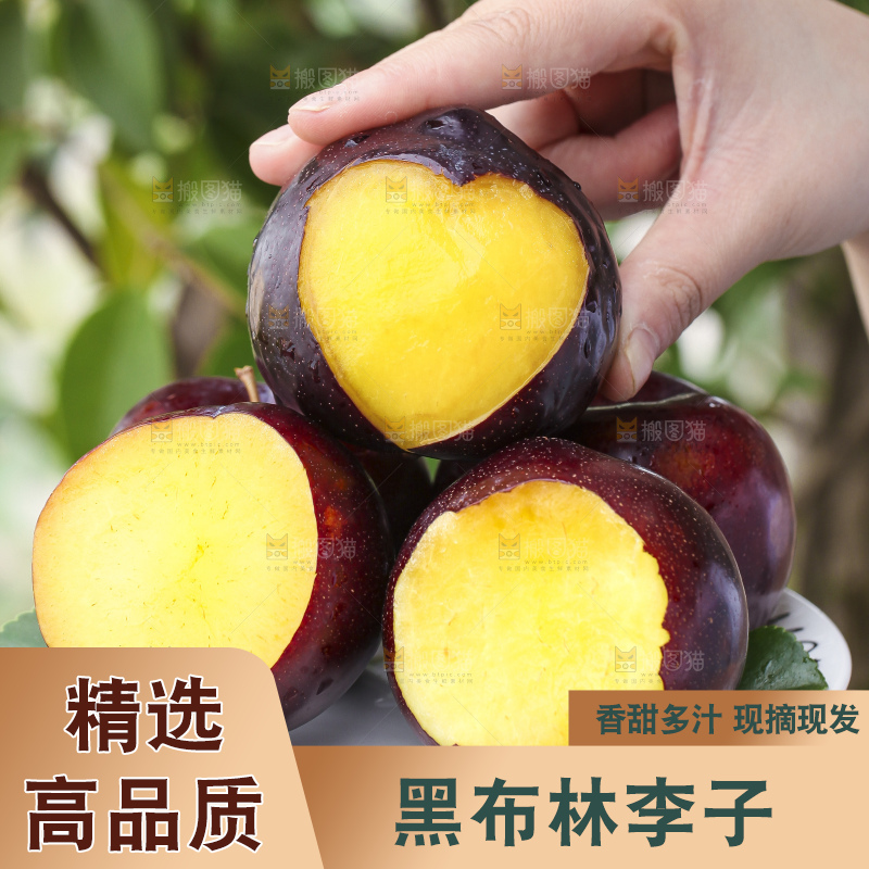 手里拿着一盘黑布林