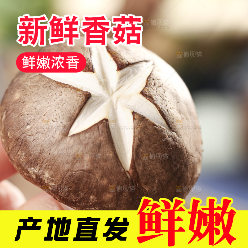 手里拿着菌菇