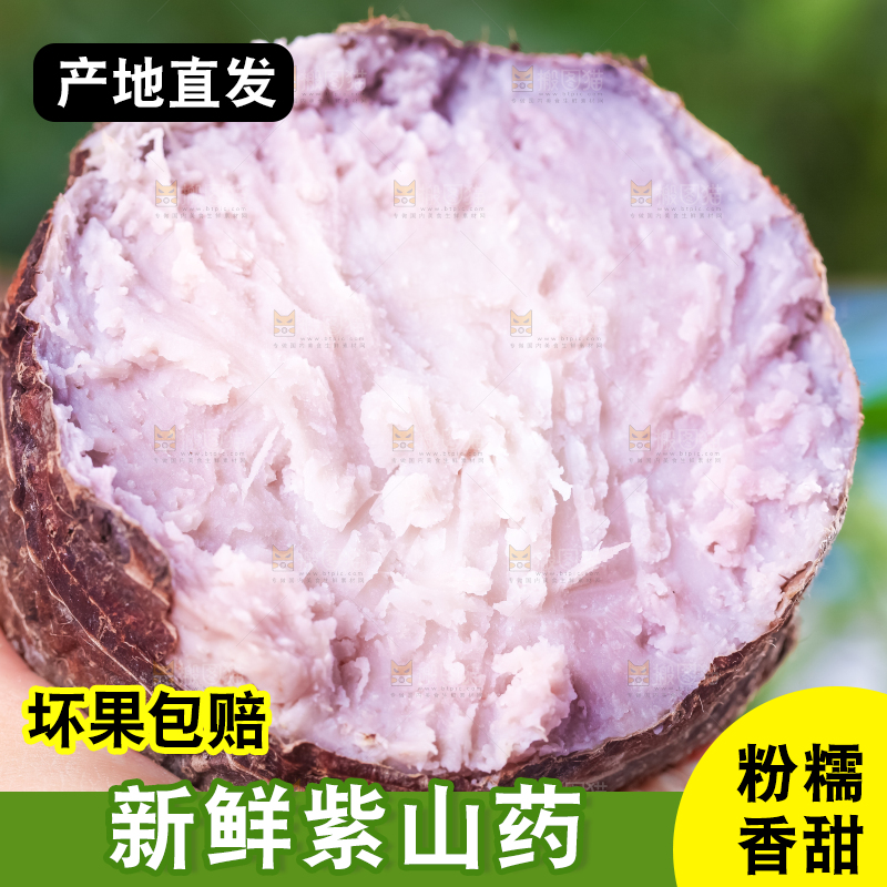 手里拿着紫藤芋头