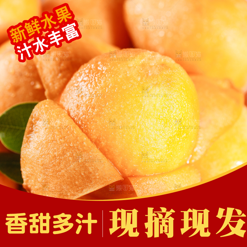 手里拿着高山枇杷