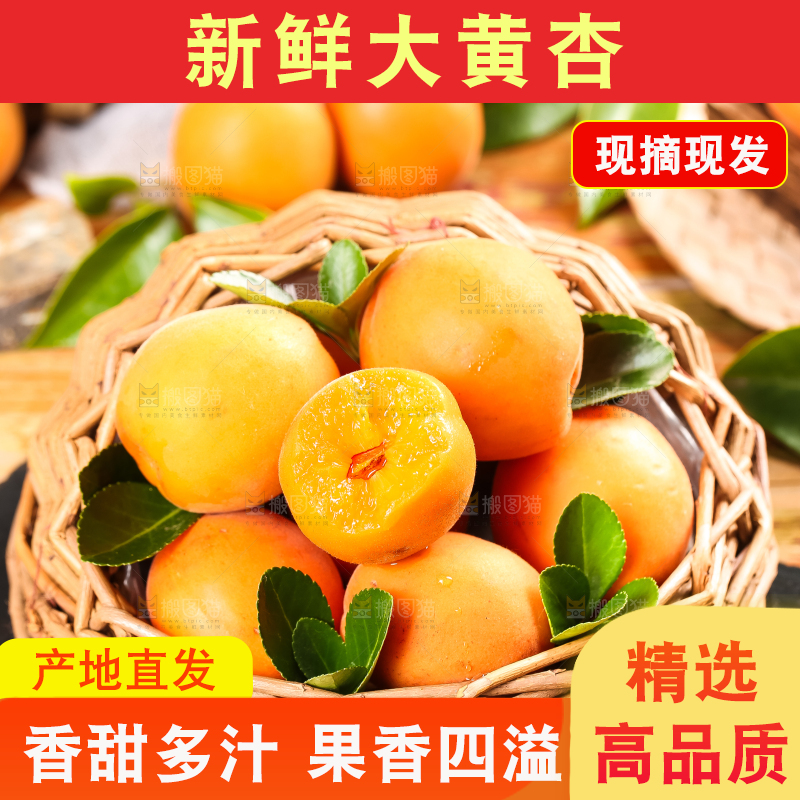 篮子里装着杏子