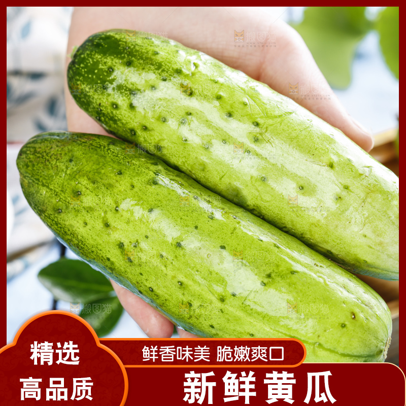 手里拿着刺黄瓜