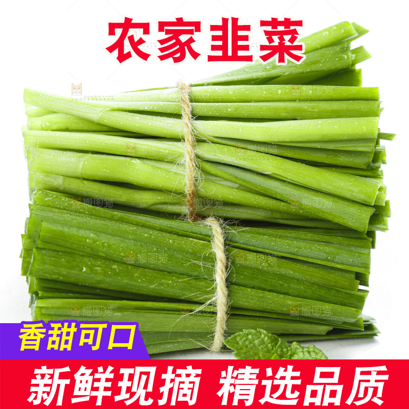 白底上摆放着一把嫩韭菜