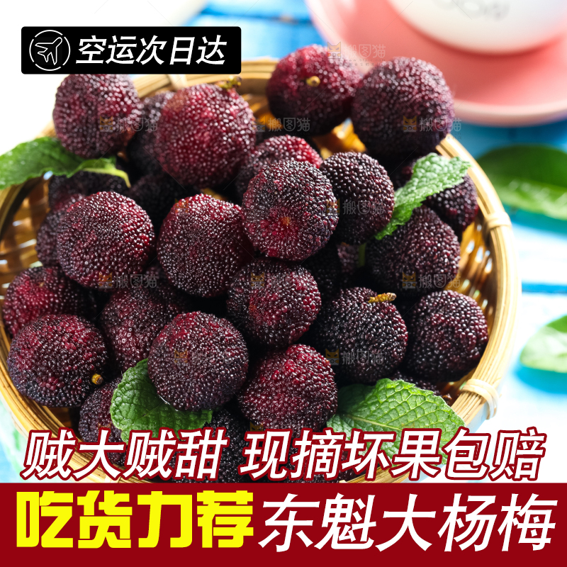 篮子里装着野生杨梅