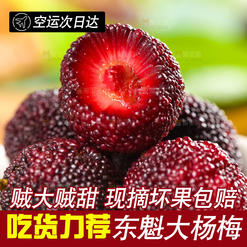 碟子里装着杨梅