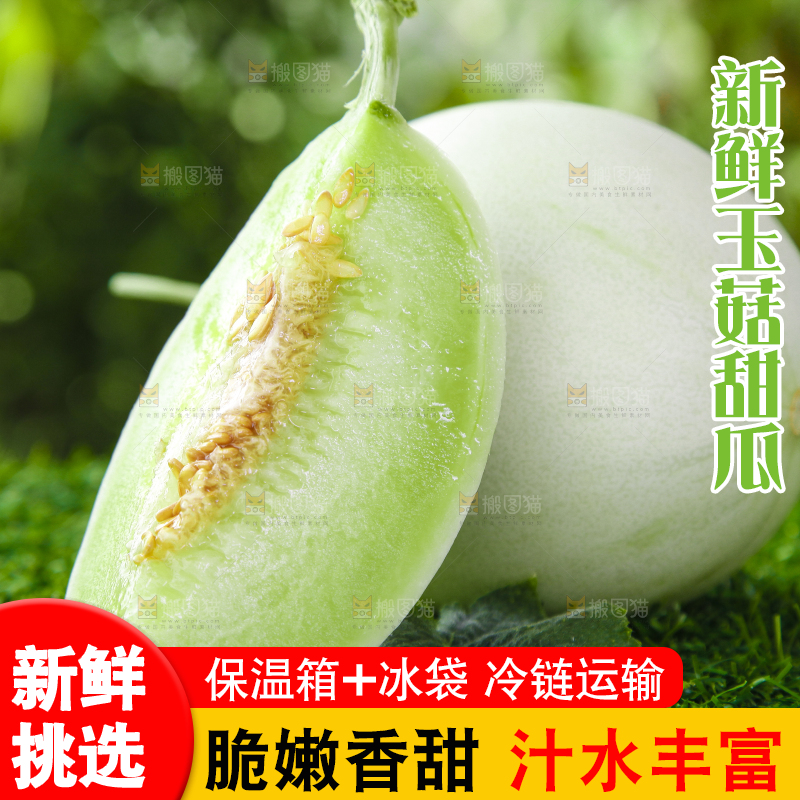 绿草地上摆放着玉菇甜瓜
