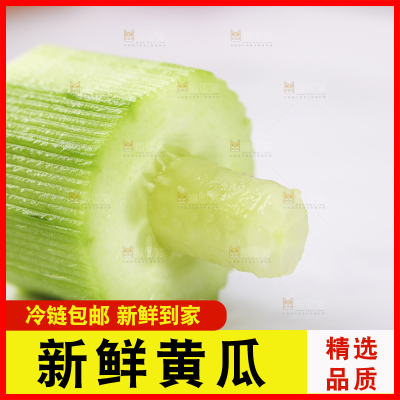 白底上摆放着小黄瓜