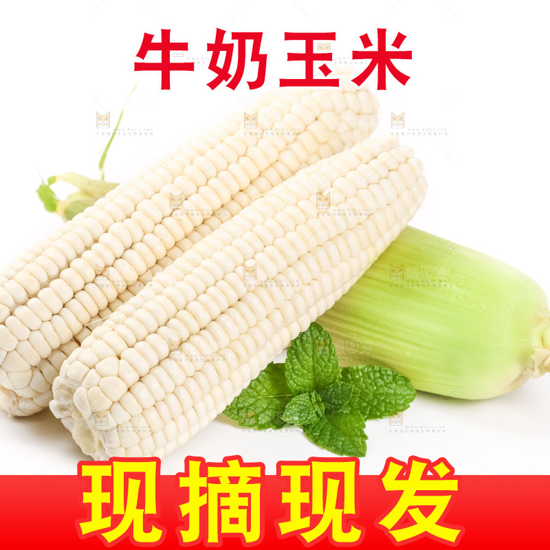 白底上摆放着牛奶水果玉米