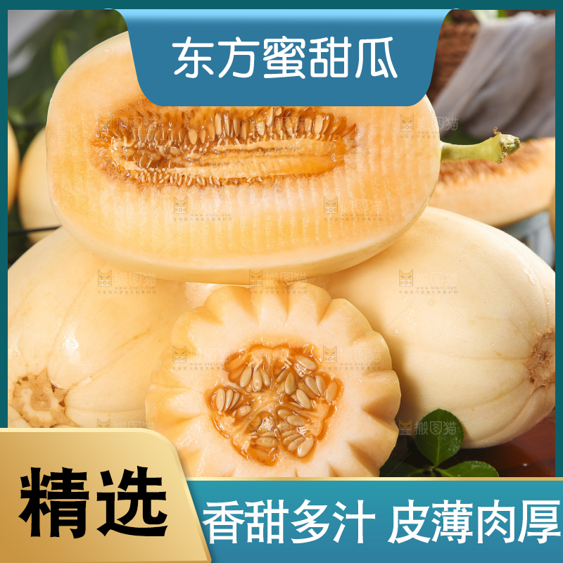 木底上摆放着州东方蜜一号甜瓜