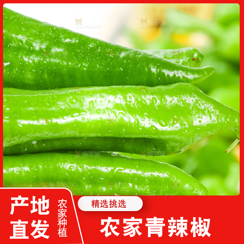 手里拿着青椒