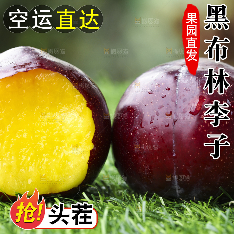 绿草地上摆放着新鲜黑布林