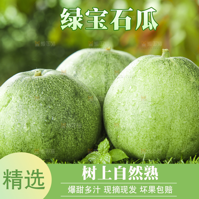草地上放着绿皮甜瓜