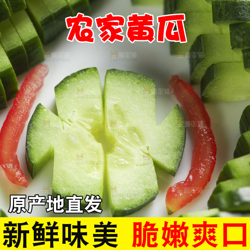 白底上摆放着切片的小青瓜