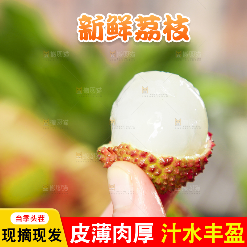 手里拿着妃子笑荔枝