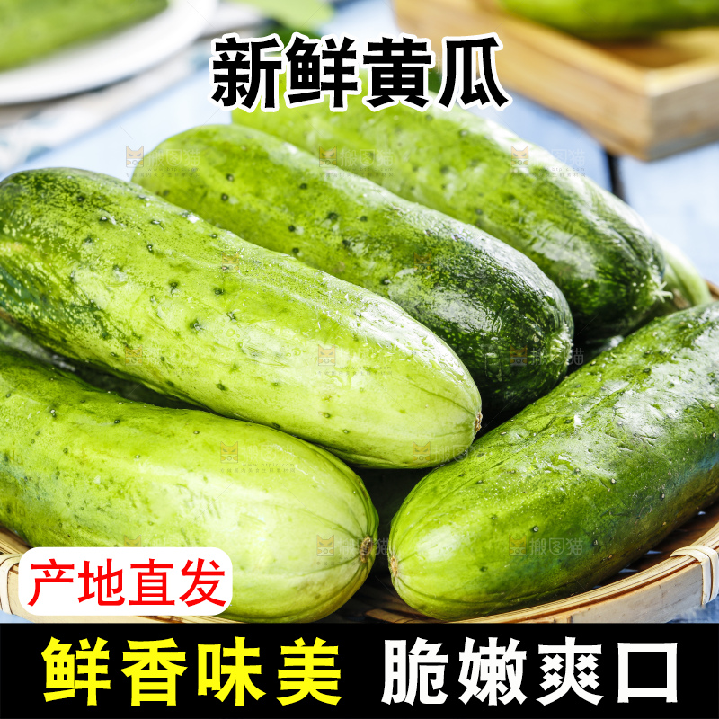 篮子里装着蔬菜黄瓜