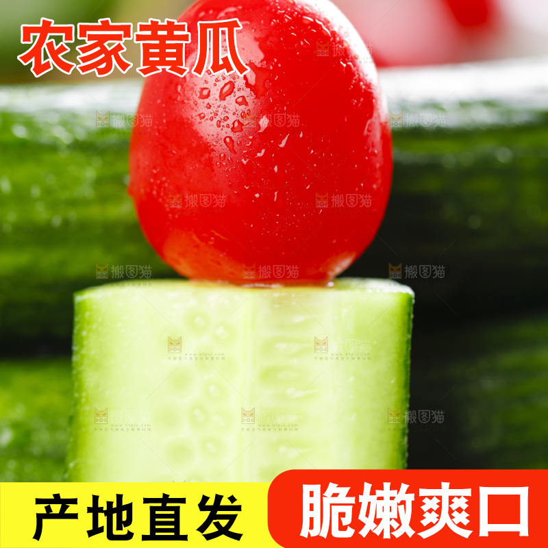 黑底上放着嫩黄瓜
